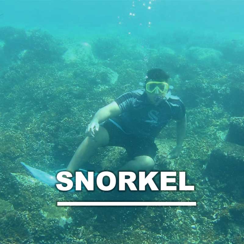 Snorkel En Manzanillo Noahtours