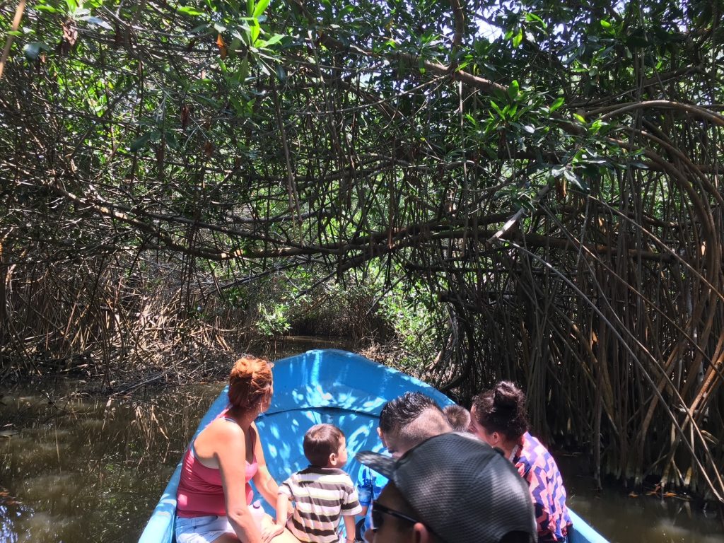 Eco turismo Cuyutlán Tortugario