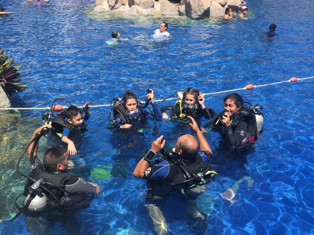 Buceo Manzanillo, Noah Tours