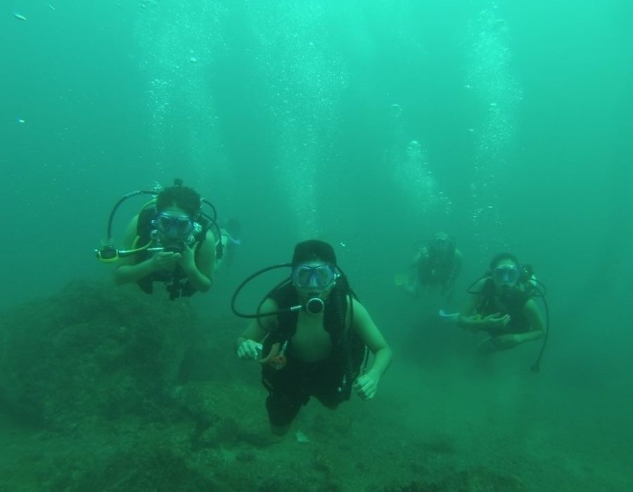 Noah tours turismo Manzanillo Buceo